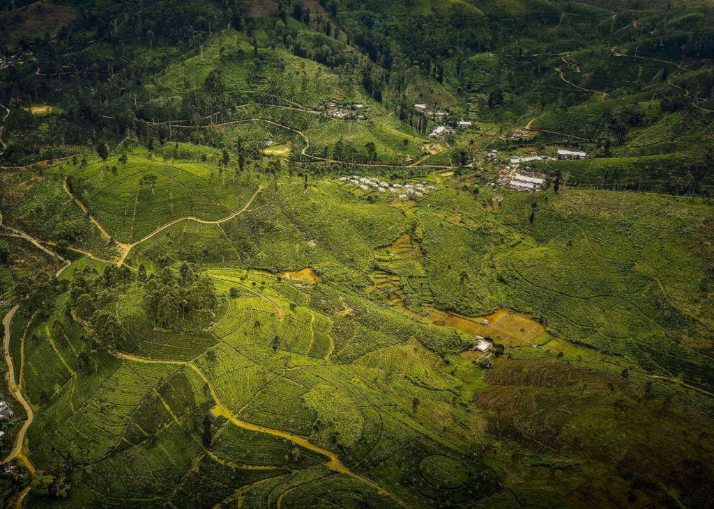 oddington-tea-estate-and-bungalow-in-sri-lanka-224-001.jpg