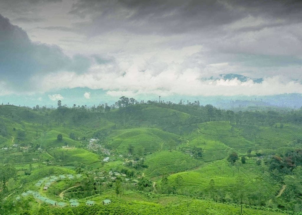 oddington-tea-estate-and-bungalow-in-sri-lanka-229-001.jpg