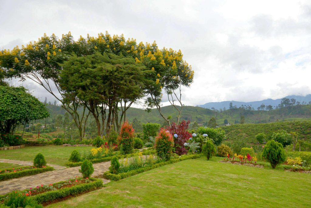oddington-tea-estate-and-bungalow-in-sri-lanka-43.jpg