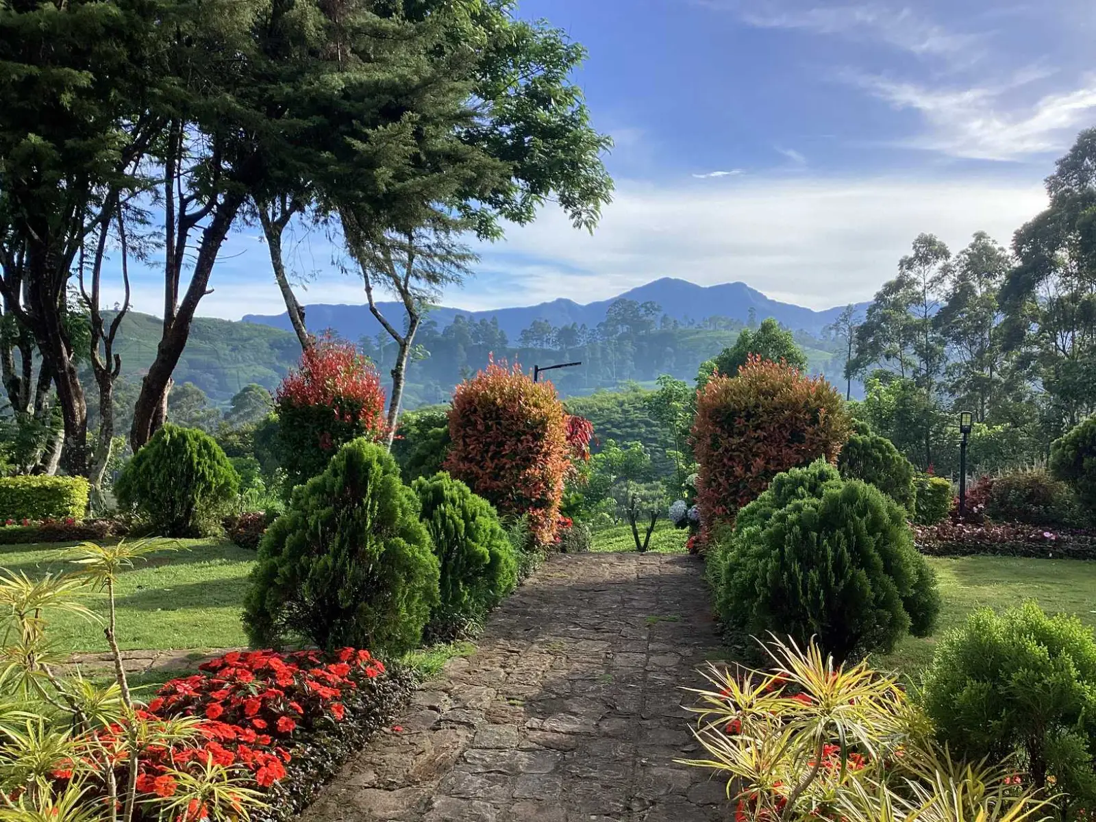 Homestay, hotel, Oddington Bungalow, hill country, Sri Lanka, Hatton, Maskeliya, Nuwara Eliya